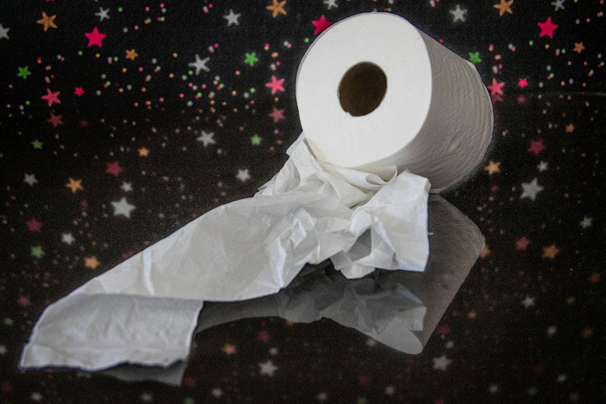 sapin de noël rouleau papier toilette