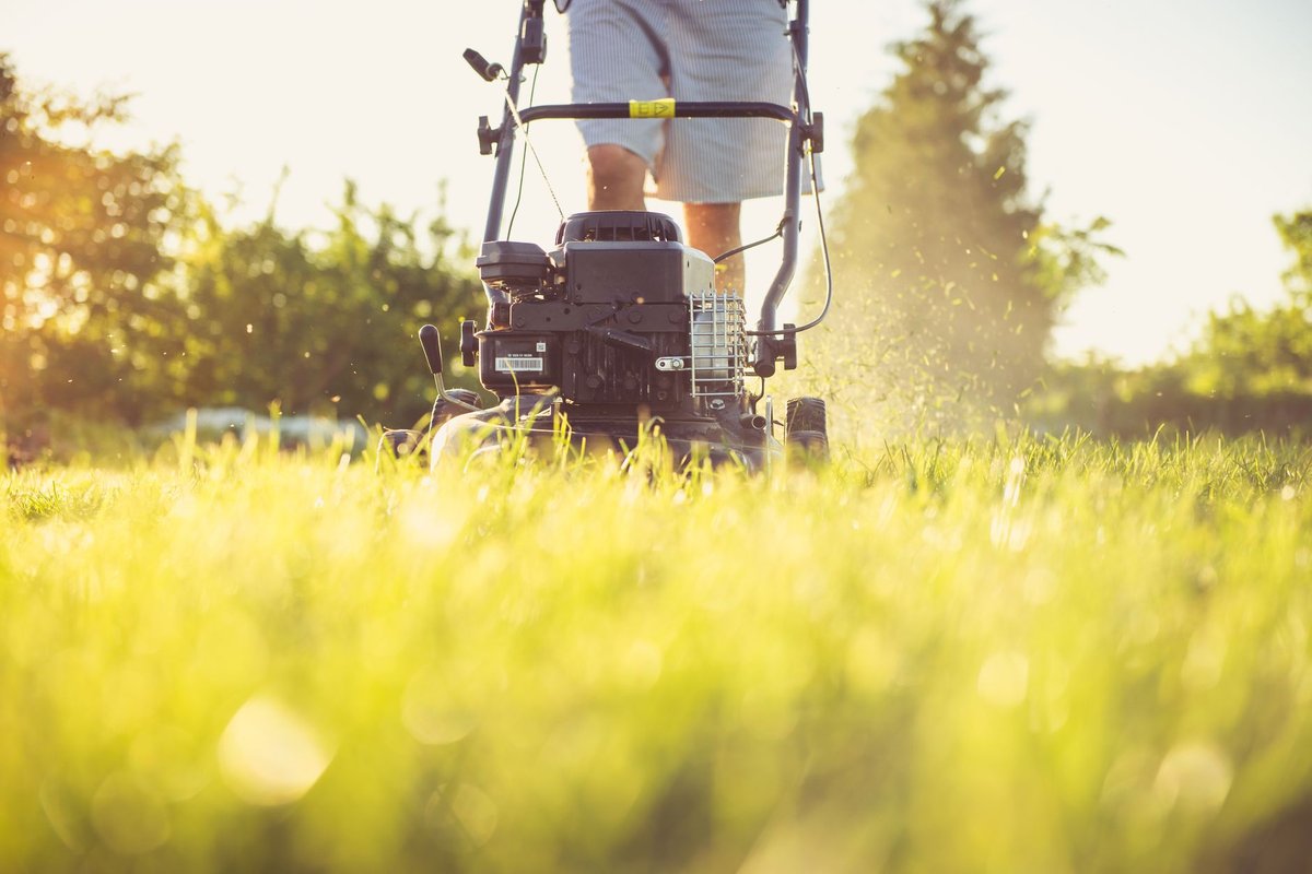 tonte pelouse horaires