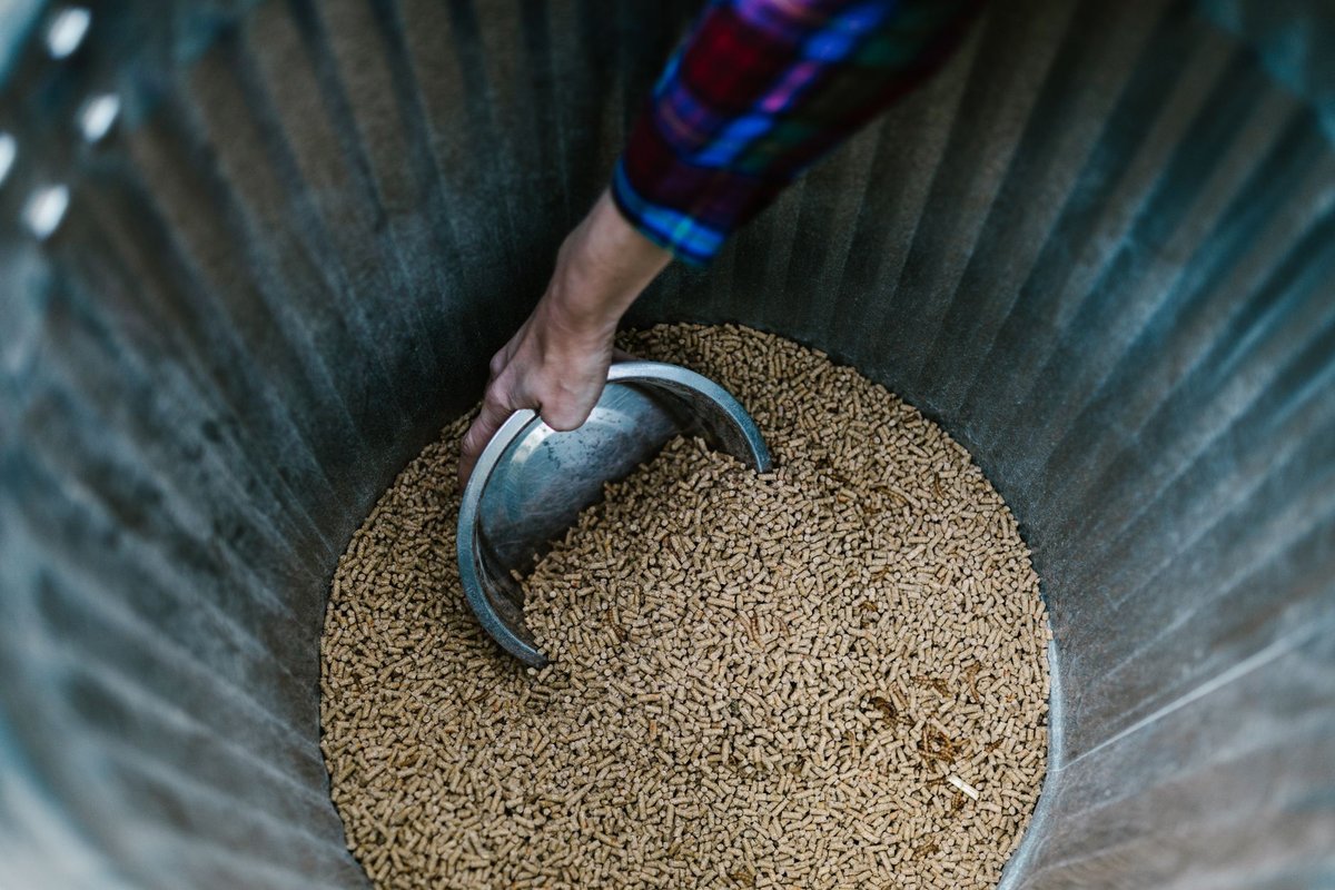 poele a granules consommation
