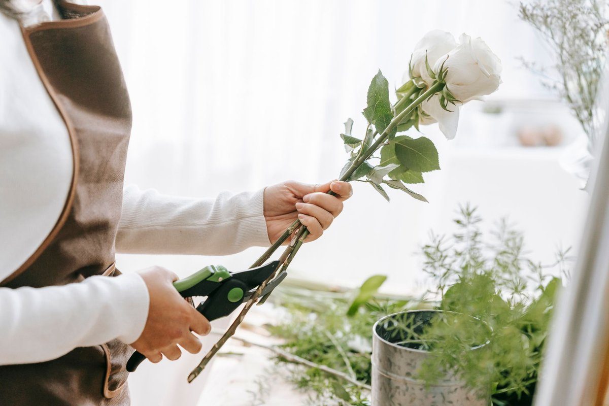 quand tailler les rosiers